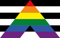 Straight ally flag